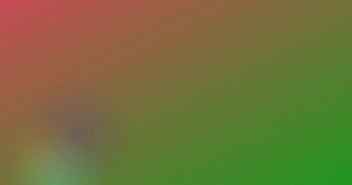韩国丽卡避坑：先看这5项